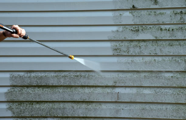 Trusted Pine Canyon, CA Pressure Washing Services Experts