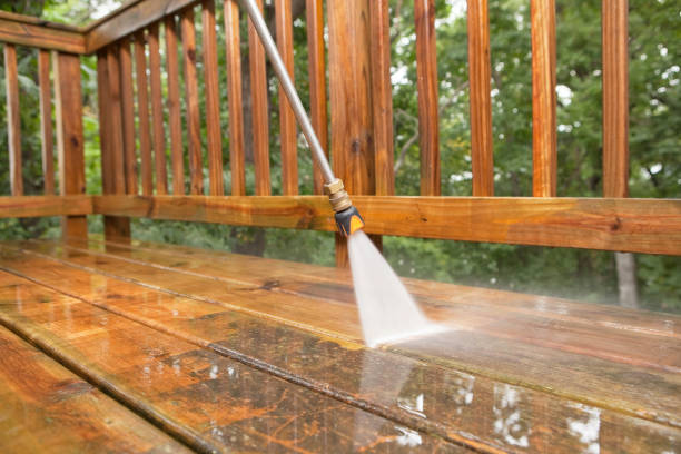 Best Animal Enclosure Cleaning  in Pine Nyon, CA